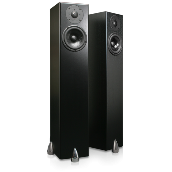 Diffusori Totem HAWK black Diffusori Totem HAWK black