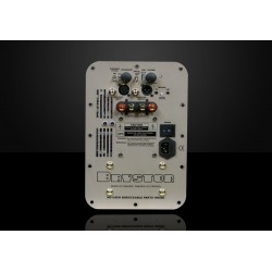 Subwoofer Bryston Model T Sub Subwoofer Bryston Model T Sub