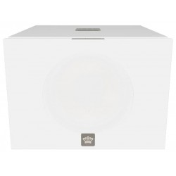 Diffusore subwoofer Rel Acoustic S/550