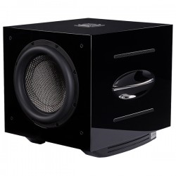 Diffusore Subwoofer REL Acoustics  Carbon Special Diffusore Subwoofer REL Acoustics  Carbon Special
