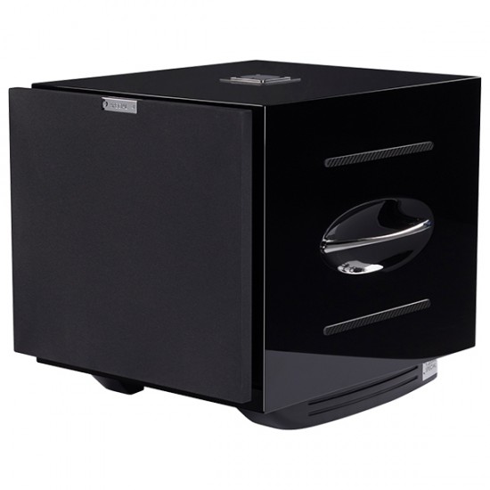 Diffusore Subwoofer REL Acoustics Carbon Special Diffusore Subwoofer REL Acoustics Carbon Special