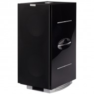 Diffusore subwoofer REL Acoustics 212/SX Diffusore subwoofer REL Acoustics 212/SX
