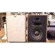 Diffusori Klipsch Heresy IV serie (esposte)