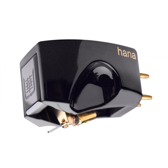 Testina Hana Umami Black Testina Hana Umami Black