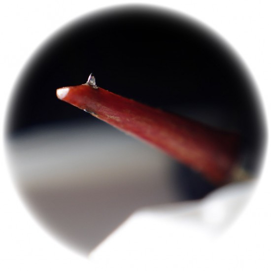 Fonorivelatore Jico  J50  Yurushi -Iro Nude