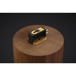 Testine Kiseki BlackHeart NS Testine Kiseki BlackHeart NS