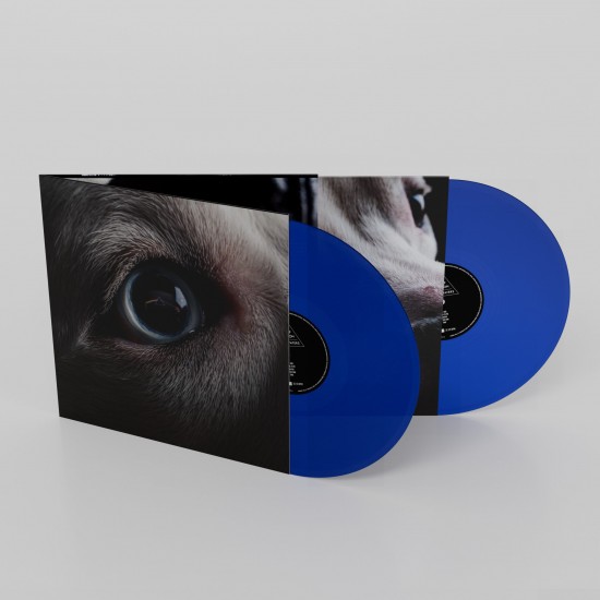 Roger Waters The Dark Side Of The Moon Redux (140 Gr.vinyl Blue Trasparent) (Indie Exclusive)