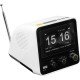 ELAC RD 100 – Radio DAB+ FM Bluetooth con Radiosveglia ELAC RD 100 – Radio DAB+ FM Bluetooth con Radiosveglia