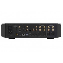 Lettore di rete EverSolo DMP-A10 Flagship Masterpiece