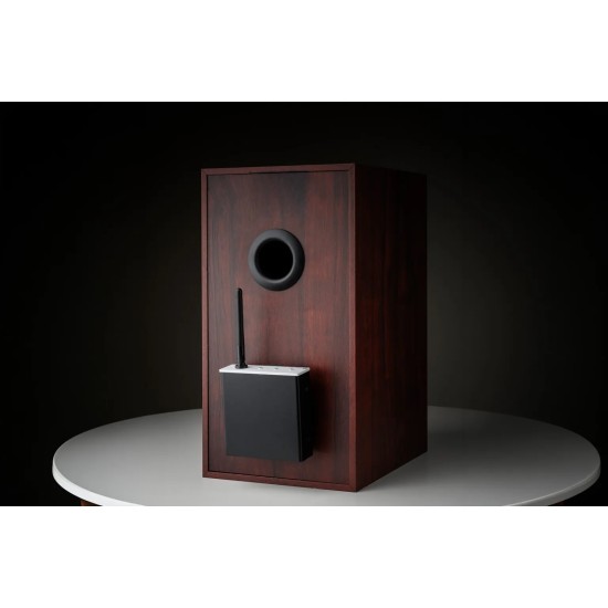 Pro-Ject Wireless Box E – Amplificatore Streaming Wireless Mono Pro-Ject Wireless Box E – Amplificatore Streaming Wireless Mono
