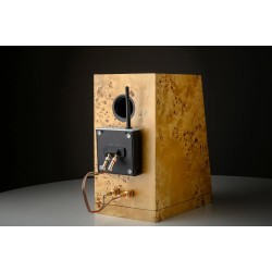 Pro-Ject Wireless Box E – Amplificatore Streaming Wireless Mono