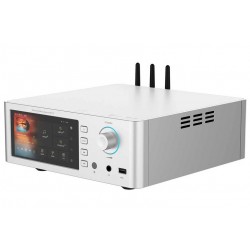 Streamer di rete Shanling SM1.3