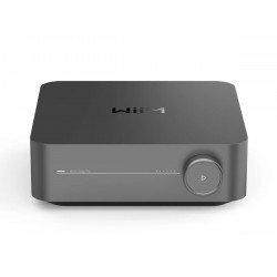 WiiM Amp Pro Amplificatore WiiM Amp Pro Amplificatore