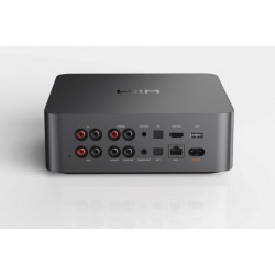 Streamer di rete hub digitale WiiM Ultra