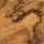 Walnut Burl Satin  + 1,000.00€ 