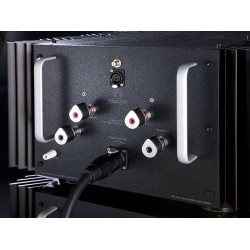 Amplificatore Finale Pass Labs XS 300 Amplificatore Finale Pass Labs XS 300