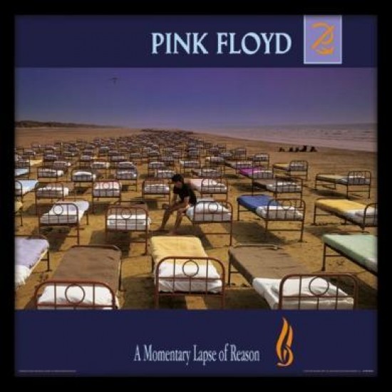  Pink Floyd A Momentary Lapse Of Reason	