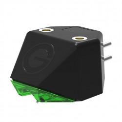 Testina Goldring E 2