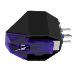 Testina Goldring E 3