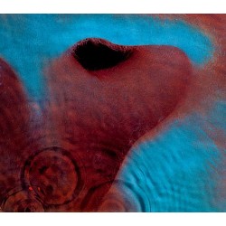 Pink Floyd Meddle