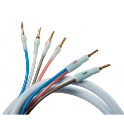 Cavo Supra High-end Quadrax - 4x2.0 BI-WIRE COMBICON (mt.2) Cavo Supra High-end Quadrax - 4x2.0 BI-WIRE COMBICON (mt.2)