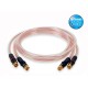 Cavo Townshend  F1 Fractal  1 mt. XLR coppia