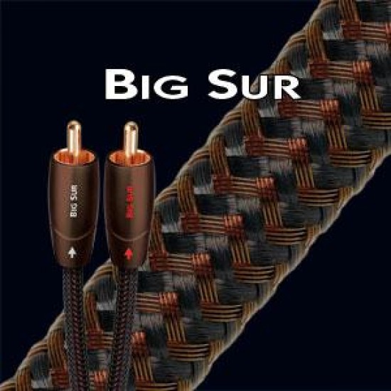 Cavo Audioquest Big Sur 1Mt