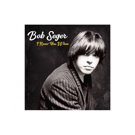 Bob Seger I Knew You When