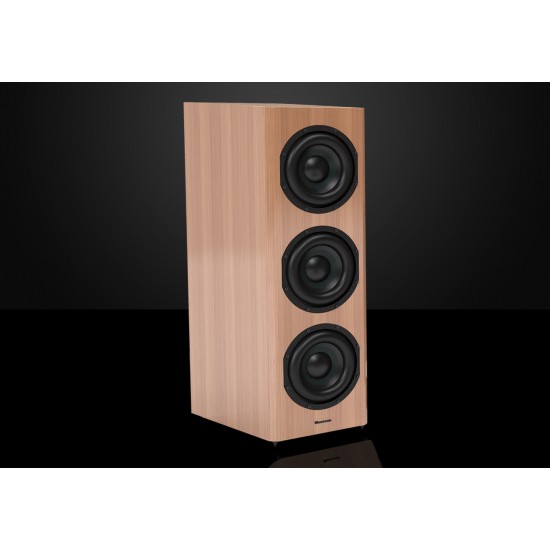 Bryston Model T Subwoofer Bryston Model T Subwoofer