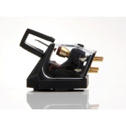 Testina Rega Ania Testina Rega Ania